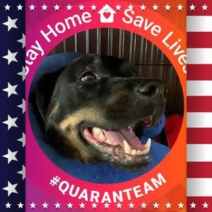 Meet your Posher, Cherie